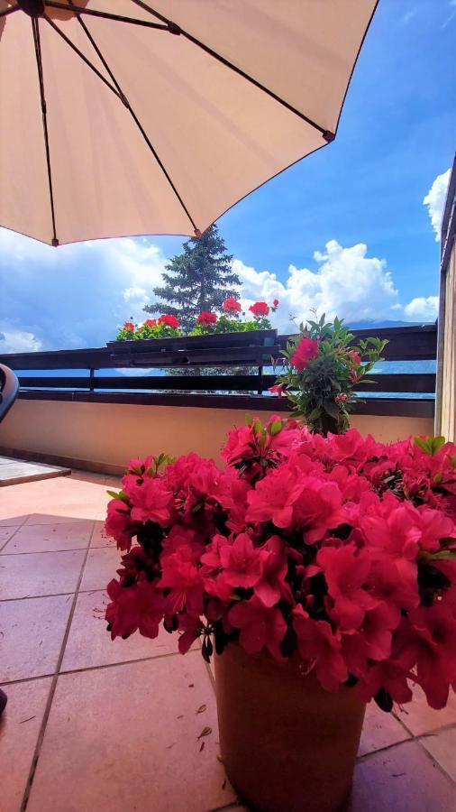 Nora S Home 4 - Panoramic Terrace & Bio Garden Мерано Екстериор снимка